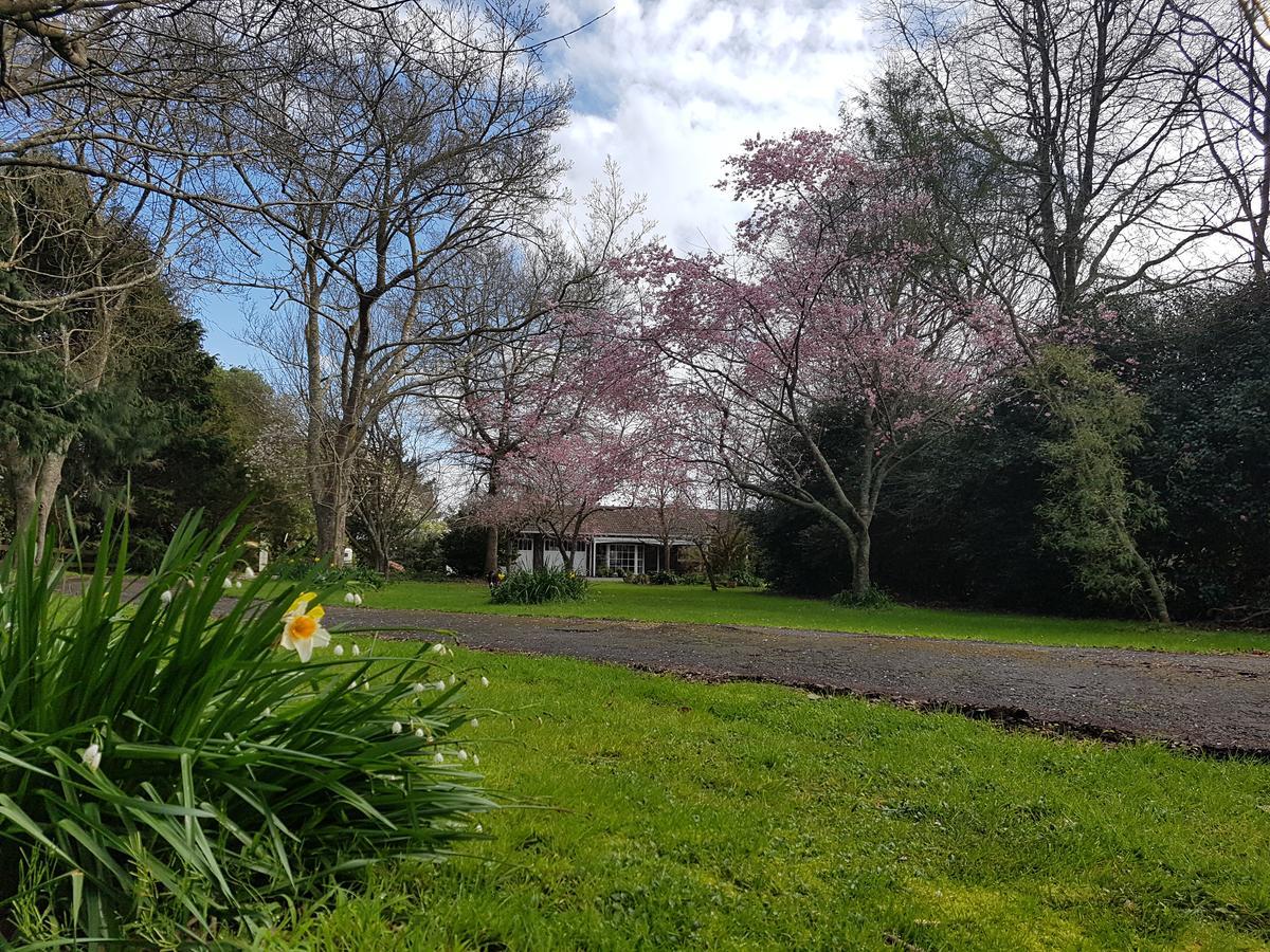 Woodbury Farm Bed & Breakfast Takanini Exterior photo